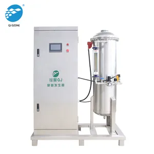 600 g 700 g 800 g Ozonator ozone sterilization process bottled water ozone generator for water disinfection