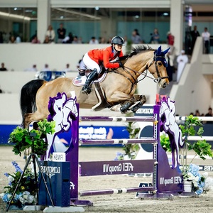 Nouveaux obstacles d'équitation élégants en aluminium, durables, de style western, équipement de saut en PVC imperméable - Product Image 3