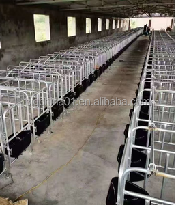 <span class=keywords><strong>Cages</strong></span> à porcs faciles à installer en gros, <span class=keywords><strong>cages</strong></span> pour animaux, caisses de gestation galvanisées à chaud - Product Image 5