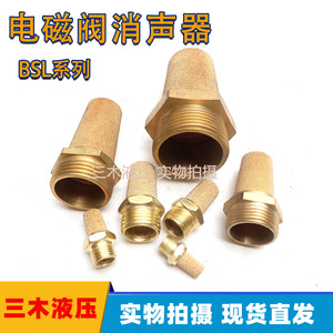 Silencieux en cuivre Luosheng SL-01 SL-02 SL-03 SL-04 SL-06 pour électrovanne, composant pneumatique - Product Image 5