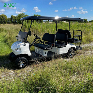Carrito de <span class=keywords><strong>Golf</strong></span> Eléctrico Todoterreno para Discapacitados, Venta al Por Mayor 2026 - Product Image 5