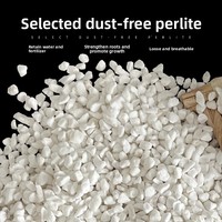 Substrat nutritif universel sans poussière Perlite pour la culture et l'expansion des orchidées succulentes, des semis et l'isolation en jardinage intensif