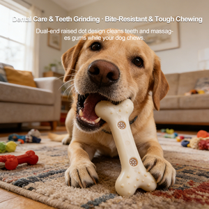 Almost Indestructible Eco-Friendly <strong>Dog</strong> Chew Toy Nylon <strong>Bone</strong> with Beef Smell for Aggressive Chewer - Product Image 3