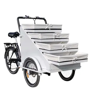 250W Motor 2004 hot sale 3 wheel cart with basket for vegetables and fruit