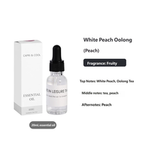 Huile de recharge populaire pour diffuseur à bâtonnets, parfum d'ambiance longue durée pour la maison, liquide aromatique pour diffuseur d'intérieur