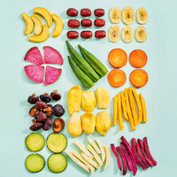 12 Soorten Hoogwaardige Gebakken Zoete Gedroogde Groenten & Fruit, Klaar-om-te-Eten Mix FD VF Gedroogde Fruitschijfjes, Snacks