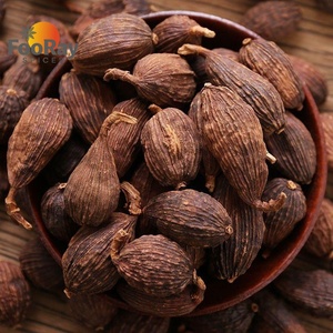 Épices authentiques vietnamiennes pour Pho : Cardamome noire séchée entière (Tsaoko), ingrédient essentiel pour la soupe de nouilles au bœuf - Product Image 2