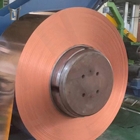 Steel Bull Chine Usine 99.9% Bobine de cuivre pur C10100 C10300 C11000 C12200 C12000 C1100 C1220 T2 Bande de cuivre