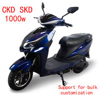 Sepeda Motor Listrik CKD Buatan China, Aksesoris Lengkap, Harga Grosir Terjangkau, Sepeda Listrik
