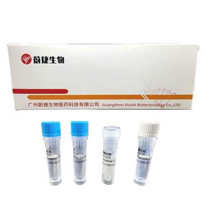 VIPOTION(Viuick) Kit Deteksi Leishmania Spp - Peralatan Diagnosa Kesehatan Hewan Ternak NCRD-D-5931 - Product Image 1
