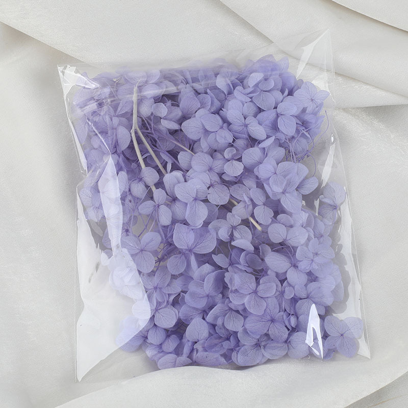 Pourpre