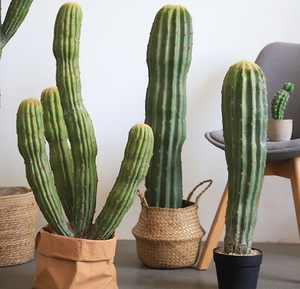 Simulation Cactus En Pot Grandes Plantes Fée D'europe Du Nord <span class=keywords><strong>Colonne</strong></span> Intérieur Scène Fenêtre Décoration Pièces - Product Image 4