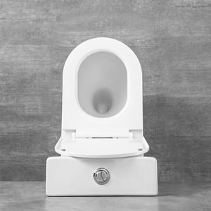 Offre Spéciale sanitaire toilette en céramique femmes wc cuvette de toilette debout deux pièces toilette sans rebord pour salle de bain - Product Image 2
