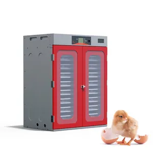 Mini incubateur automatique pour œufs de poulet, couveuse avec température et humidité, vente en gros