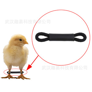 Support de jambe en plastique pour poussins, protège-pattes pour l'assistance à la croissance des jeunes poulets - Product Image 1