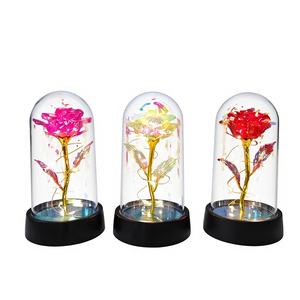 Fleur éternelle en plastique doré, couleur or rose, veilleuse, cadeau de Noël, cadeau pour enseignant, Tanabata, cadeau romantique pour <span class=keywords><strong>la</strong></span> Saint-Valentin, cadeau pour <span class=keywords><strong>la</strong></span> fête des mères - Product Image 1