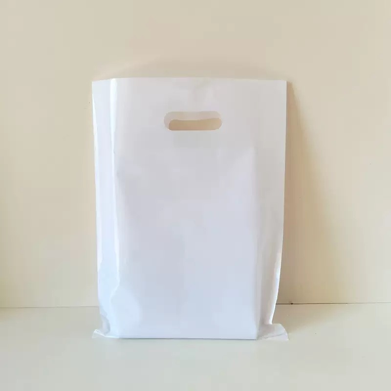 Custom Recyclable Poly T shirts Bag