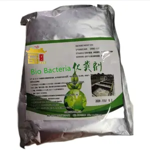 Aerobic and anaerobic bacteria for Cleaning Sewage Treatment Bio Bacteria Septic Tank Cleaning Agent