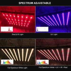OEM ODM LM 301H 281B LM301H LM301B Spectre Complet 800W 1000W Plante LED Élèvent Des Lumières <span class=keywords><strong>6x6</strong></span> Hydroponique Pour Plante De Jardin D'intérieur - Product Image 3