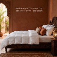 Couette d'insertion 95% duvet d'oie écologique pour la maison, toutes saisons, chaleur polyvalente, respirante, en coton ultra doux, vente en gros directe usine