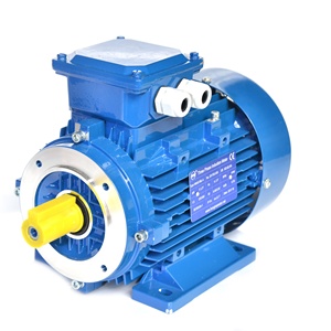 <span class=keywords><strong>45kw</strong></span> 55kw 75 kw 110kw 132kw 160 kw 200kw 250kw 315kw पूरी तरह से तीन चरण 220v ac इंडक्शन मोटर इलेक्ट्रिक - Product Image 2