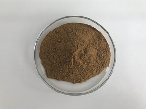 Insen Cung Cấp Bột Chiết Xuất Lá Thường Xuân Tự Nhiên Chiết Xuất Lá Ivy - Product Image 4