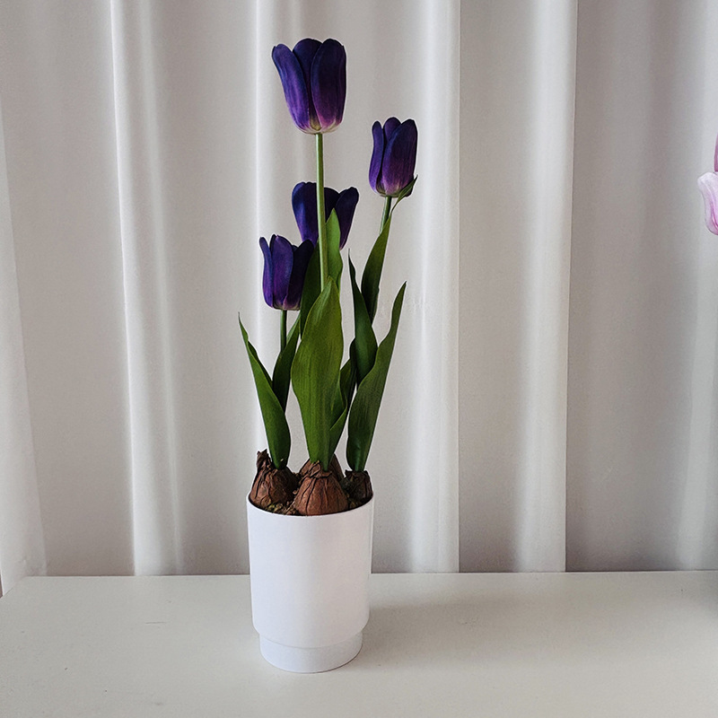 Violet