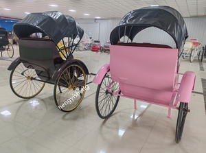 Meilleures ventes : Vélo-rickshaw classique à 2 roues, tiré à la main, 2 places, économique - Product Image 6