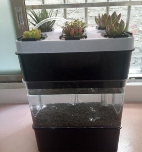 Mini acuaponia ecosistema tanque de peces escritorio sistema ecológico Multi de invernaderos Aquaponics - Product Image 4