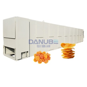 Machine de séchage de papaye à ceinture multicouche à économie d'énergie - Product Image 1