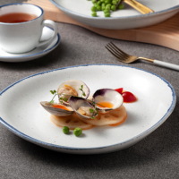 Assiettes de service en porcelaine mats, vente en gros, fournisseur d'hôtel, plats de service, bols, vaisselle japonaise en céramique blanche