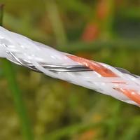 Dierenhek Elektrisch Hek Polydraad