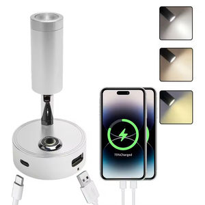 Projecteur basse tension DC12-24V, port USB, type-C, charge rapide, lampe de lecture LED, applique murale, lampe de chevet, accessoires pour camping-car, personnalisé - Product Image 2