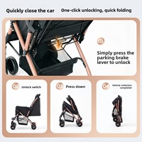 Poussette pour animaux de compagnie pour chats et chiens, acier au carbone, imperméable, 4 roues, bidirectionnelle, pliable, légère, portable, pour petits chiens