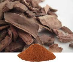 Nuevo último Pure Terminalia Arjuna Bark Polvo de hierbas de grado alimenticio Hierbas crudas secas silvestres Extracto de plantas al por mayor Producto Tambor - Product Image 5