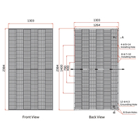 Module monocristallin bifacial à double verre Trina TSM-NEG21C.20 700w 705w 710w 715w 720w 725w Panneau solaire