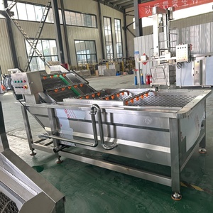 เครื่องล้างอุตสาหกรรมอาหารอัตโนมัติ รุ่น SS304 แบบฟองอากาศ สำหรับมันฝรั่ง มะเขือเทศ และผักใบเขียว - Product Image 3