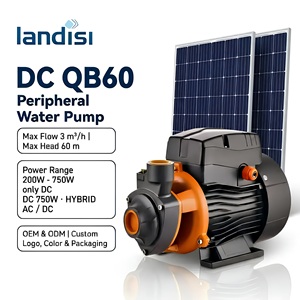 Bomba de Agua Solar DC SQB60 de Alta Presión con Impulsor de Latón y Gran Caudal para Toda la <span class=keywords><strong>Casa</strong></span> - Product Image 1