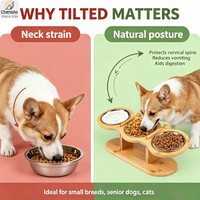 Support de gamelle surélevé pour chien et chat en acier inoxydable écologique, étanche, avec protection inclinée pour le cou et hauteur réglable
