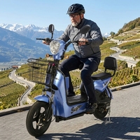 Vélo Électrique Urbain 350W 500W, Trottinettes Électriques 48V, Vélo Électrique le Moins Cher, Scooter Électrique Deux Places, E-Bike