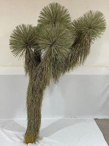 <span class=keywords><strong>Yucca</strong></span> <span class=keywords><strong>rostrata</strong></span> หุ่นไล่กาต้นไม้ทะเลทรายสัมผัสจริงสำหรับโรงแรมห้างสรรพสินค้าการตกแต่งภูมิทัศน์ - Product Image 5