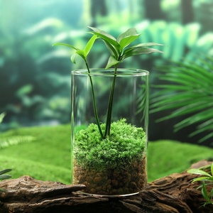 Decoración realista de mesa de té con musgo para sala de estar, estudio interior, adorno de escritorio, fácil de mantener como planta verde, pequeño regalo de cristal - Product Image 4