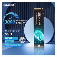 GUDGA GVR Internal Plastic SSD M.2 2280 1TB NVMe PCIe 3.0 3200MB/s Drive Kecepatan Tinggi