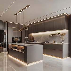 Armoires de cuisine en acier inoxydable de luxe léger OEM avec service de conception 1v1, livraison rapide, meubles pour appartement - Product Image 2