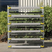 Cage d'élevage de cailles à usage intensif pour l'intérieur à vendre