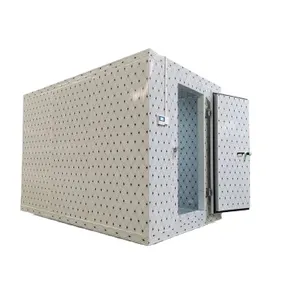 Freezing room cold storage 20ft mobile container storage/cold room freezer for fish vegetable fruits ice cream walk in freezer