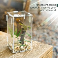 Installer Simple Clear Watch Acrylique Mini Reptile Habitat Serrure de porte pour Lupus Corps étranger Cafard Invertébré