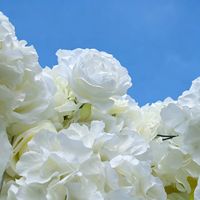 Panneau mural de fleurs artificielles en soie douce personnalisé, fond de scène réaliste en roses blanches pour photomaton de mariage