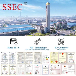 Ascensor Residencial de Acero Inoxidable para Viviendas, con Cabina Elegante, de SSEC China Suzhou SEC Supplier - Product Image 3