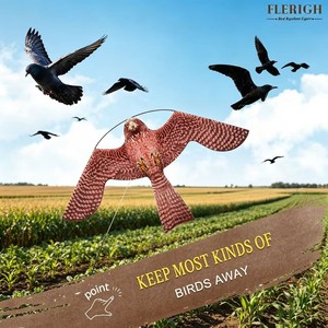 <span class=keywords><strong>Cerf</strong></span>-<span class=keywords><strong>volant</strong></span> répulsif pour oiseaux <span class=keywords><strong>pas</strong></span> <span class=keywords><strong>cher</strong></span> et durable - Leurre de faucon simulé réutilisable pour usage agricole, <span class=keywords><strong>cerf</strong></span>-<span class=keywords><strong>volant</strong></span> répulsif pour oiseaux de jardin extérieur - Product Image 2